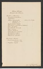 k.k. naturhistorisches Hofmuseum, Intendanzakten 1885-1896 (Hauer), Aktenzahl Z.263.c/1889, Seite 15